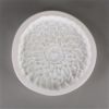 LF153 Zinnia Mold