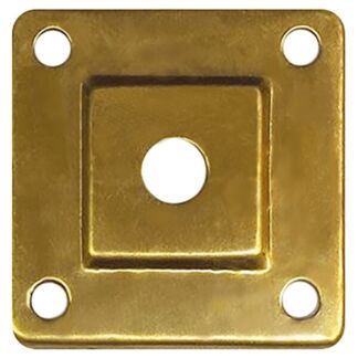 Brass square electrical wall plate with four mounting holes and a central push-button opening.