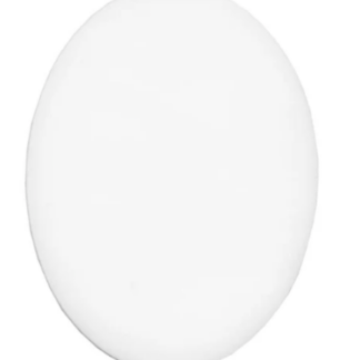 White egg with subtle shading on a light background.
