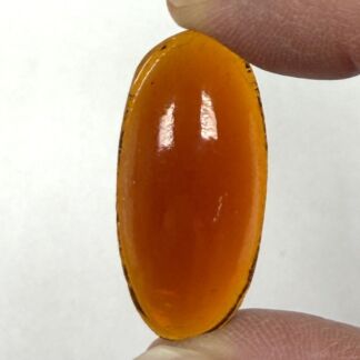 Close-up of a bright orange, glossy oval seed held between two fingertips
